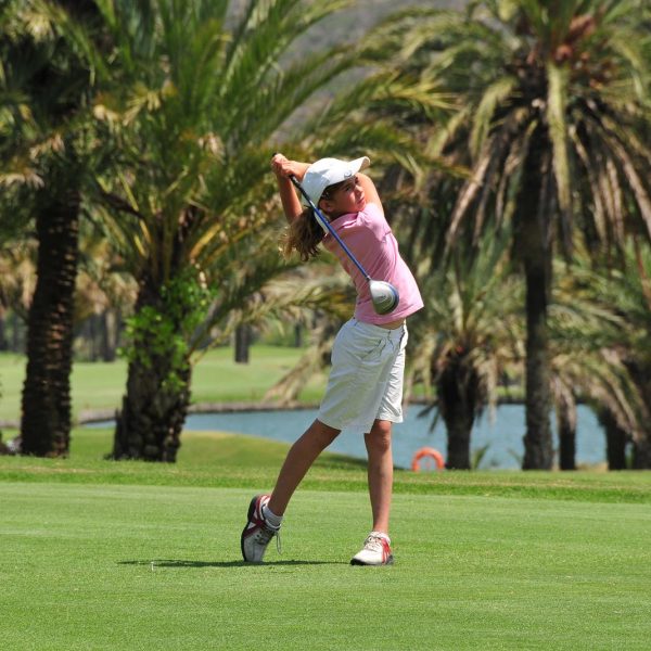 PowerLifter Weight Belt