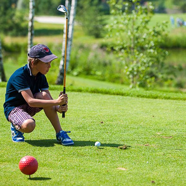 FlexFit Strength Rings